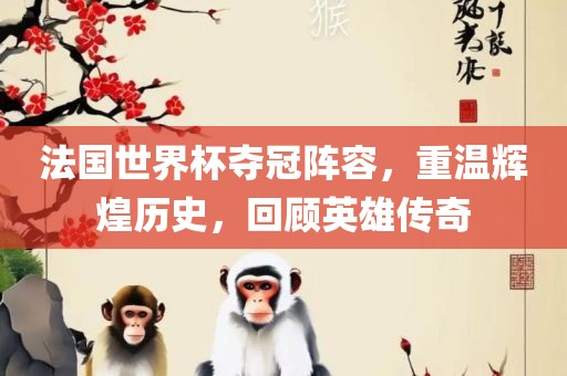 法国世界杯夺冠阵容，重温辉煌历史，回顾英雄传奇眉山市正发家政服务有限公司
