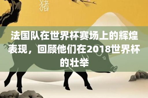 法国队在世界杯赛场上的辉煌表现，回顾他们在2018世界杯的壮举眉山市正发家政服务有限公司