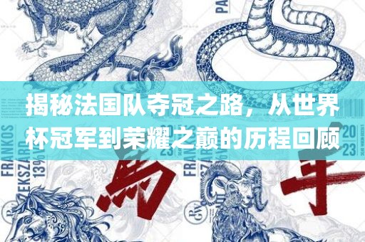 揭秘法国队夺冠之路，从世界杯冠军到荣耀之巅的历程回顾眉山市正发家政服务有限公司