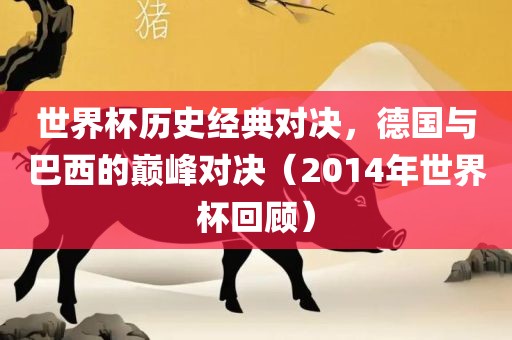 世界杯历史经典对决，德国与巴西的巅峰对决（2014年世界杯回顾）眉山市正发家政服务有限公司