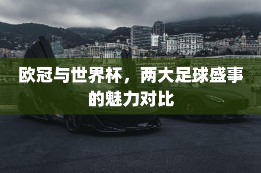 欧冠与世界杯，两大足球盛事的魅力对比眉山市正发家政服务有限公司
