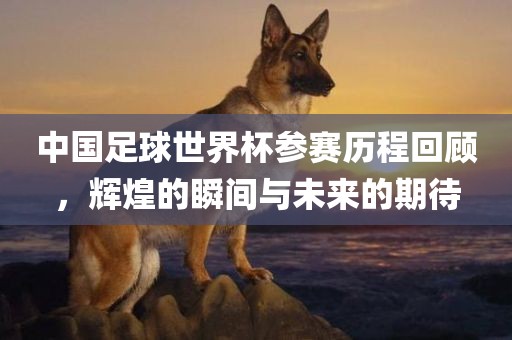中国足球世界杯参赛历程回顾，辉煌的瞬间与未来的期待眉山市正发家政服务有限公司
