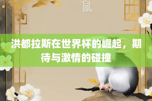 洪都拉斯在世界杯的崛起，期待与激情的碰撞
