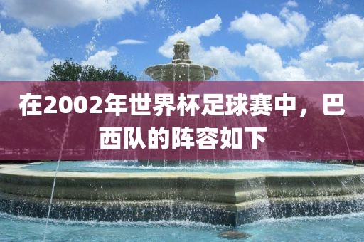 在2002年世界杯足球赛中，巴西队的阵容如下眉山市正发家政服务有限公司