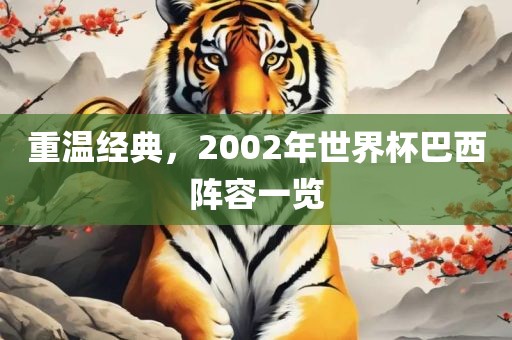 重温经典，2002年世界杯巴西阵容一览眉山市正发家政服务有限公司