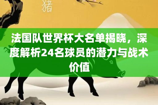 法国队世界杯大名单揭晓，深度解析24名球眉山市正发家政服务有限公司员的潜力与战术价值