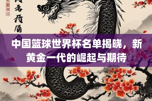 中国篮球世界杯名单揭晓，新黄金一代的崛起与期待
