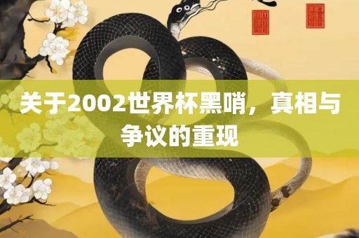关于2002世界杯黑哨，真相与争议的重现眉山市正发家政服务有限公司