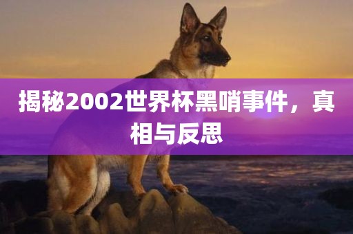 揭秘2002世界杯黑哨事件，真眉山市正发家政服务有限公司相与反思