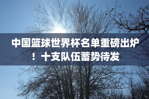 中国篮球世界杯名单重磅出炉！十支队伍蓄势待发