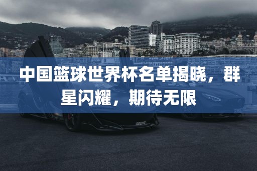中国篮球世界杯名单揭晓，群星闪耀，期待无限
