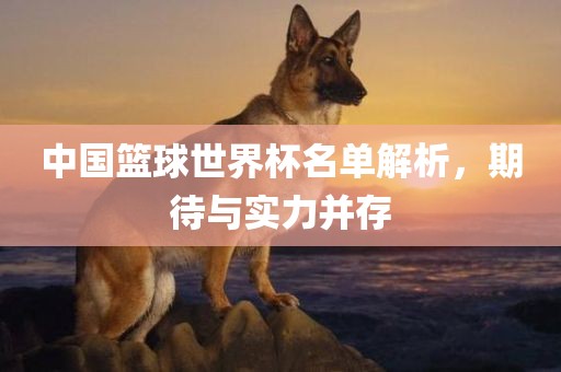 中国篮球世界杯名单解析，眉山市正发家政服务有限公司期待与实力并存