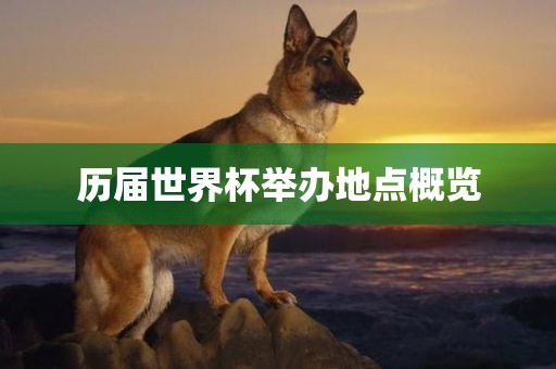 历届世界眉山市正发家政服务有限公司杯举办地点概览