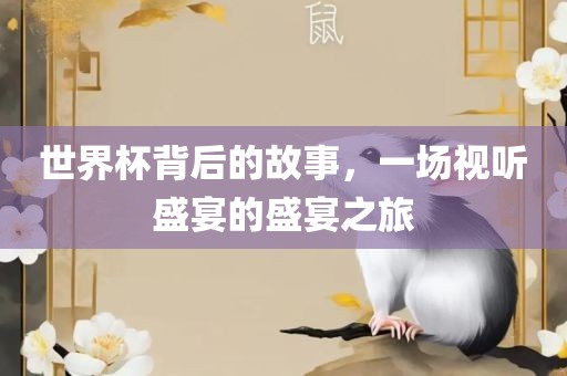 世界杯背后的故事，一场视听盛宴的盛宴之旅