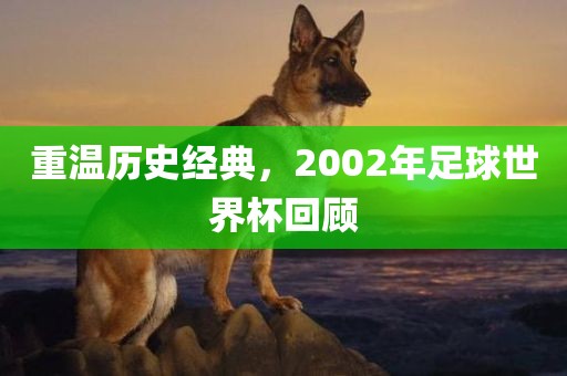 重温历史经典，2002年足球世界杯回顾