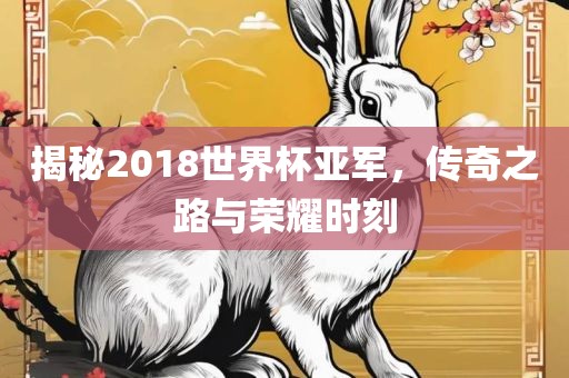 揭秘2018世界杯亚军，传奇之路与荣耀时刻眉山市正发家政服务有限公司