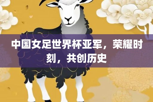中国女足世界杯亚军，荣耀时刻，共创历史