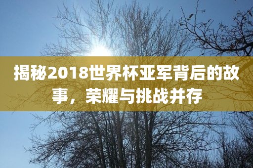揭秘2018世界杯亚军背后的故事，荣耀与挑战并存眉山市正发家政服务有限公司