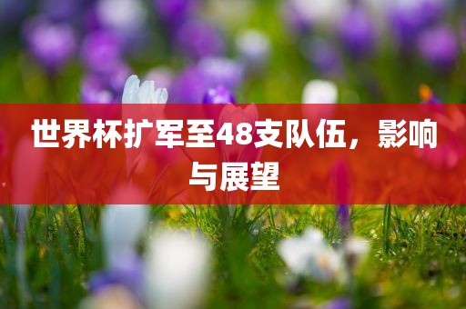 世界杯扩军至48支队伍，影响与展望眉山市正发家政服务有限公司