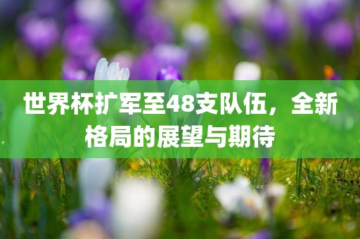 世界杯扩军至48支队伍，全新格局的展望与期待