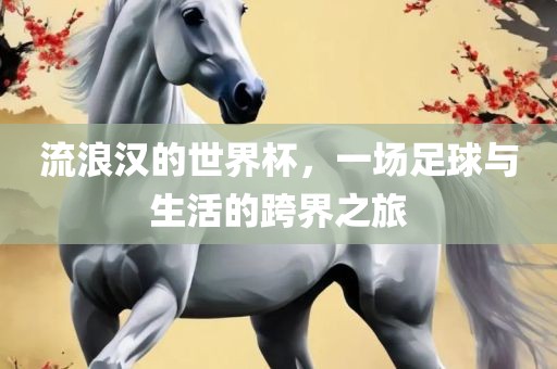 流浪汉的世界杯，一场足球与生眉山市正发家政服务有限公司活的跨界之旅