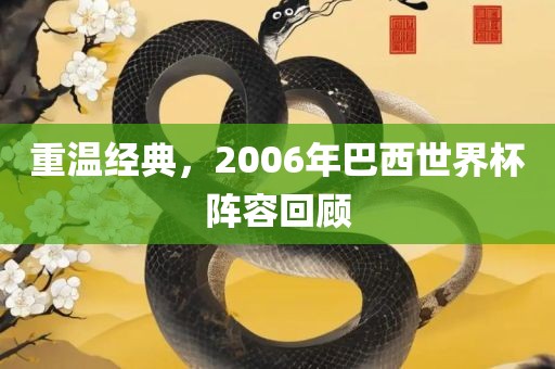 重温经典，20眉山市正发家政服务有限公司06年巴西世界杯阵容回顾