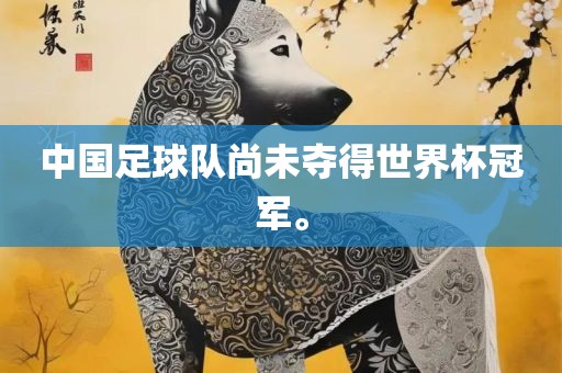 中国足球队尚未夺得世界杯冠军。眉山市正发家政服务有限公司