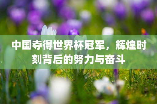 中国夺得世界杯冠军，辉煌时刻背后的眉山市正发家政服务有限公司努力与奋斗