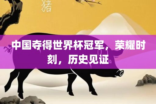 中国夺得世界杯冠军，荣耀时刻，历史见证