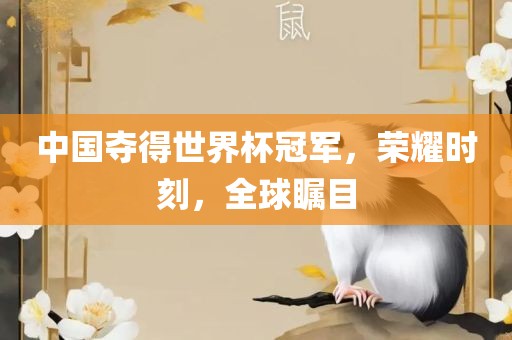 中国夺得世界杯冠军，荣耀时刻，全球瞩目眉山市正发家政服务有限公司