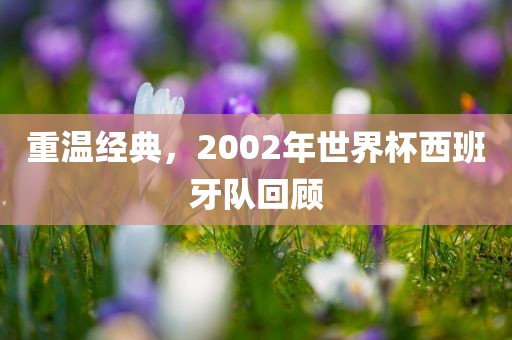 重温经典，2002年世界杯西班牙队回顾眉山市正发家政服务有限公司
