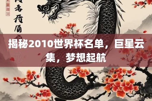 揭秘2010世界杯名单，巨星云集，梦想起航眉山市正发家政服务有限公司