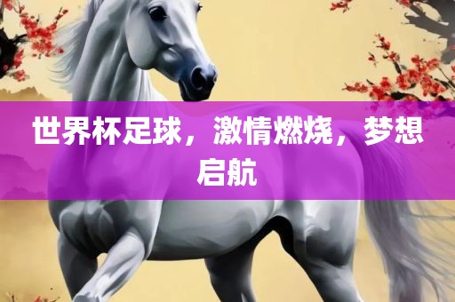 世界杯足球，激情燃烧，梦想启航眉山市正发家政服务有限公司