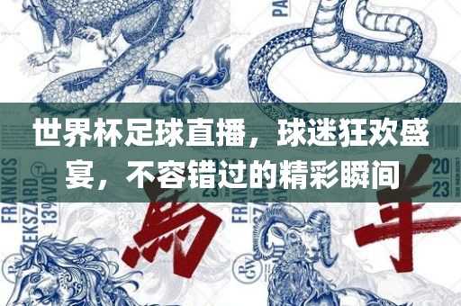 世界杯足球直播，球迷狂欢盛宴，不容错过的精彩瞬间