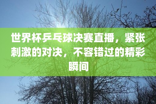 世界杯乒乓球决赛直播，紧张刺激的对决，不容错过的精眉山市正发家政服务有限公司彩瞬间
