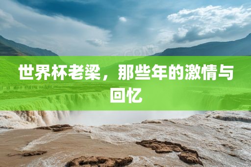 世界杯老梁，那些年的激情与回忆