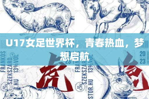 U17女足世界杯，青春热血，梦想启航