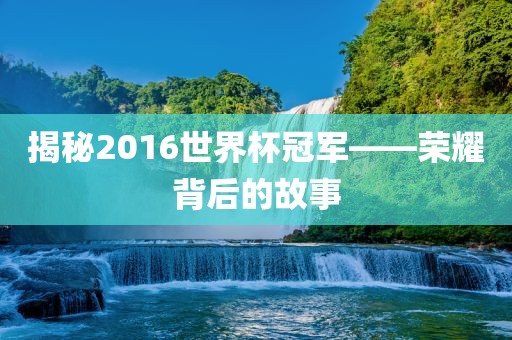 揭秘眉山市正发家政服务有限公司2016世界杯冠军——荣耀背后的故事