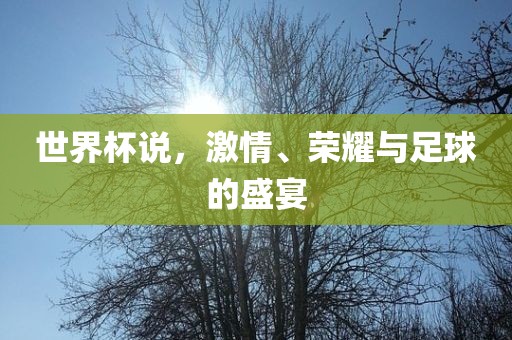 世界杯说，激情、荣耀与足球的盛宴眉山市正发家政服务有限公司