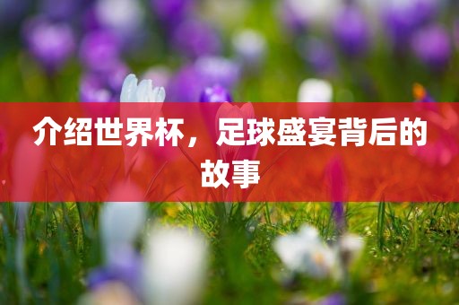 介绍世界杯，足球盛宴背后的故事