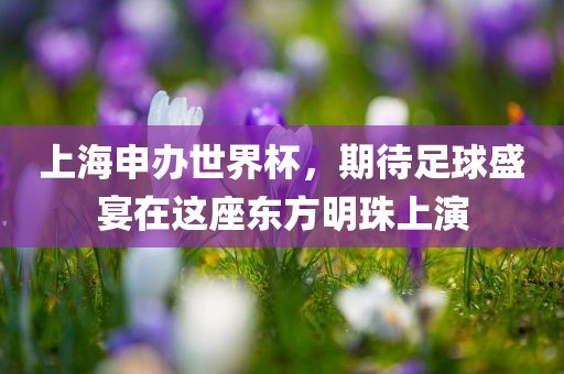 上海申办世界杯，期待足球眉山市正发家政服务有限公司盛宴在这座东方明珠上演