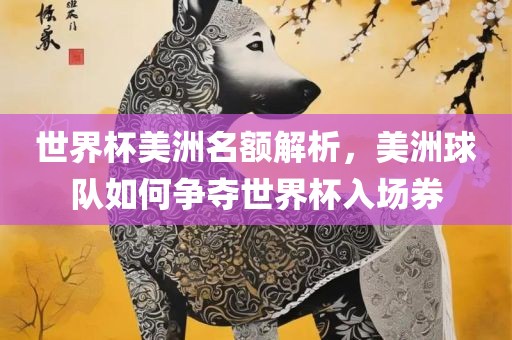 世界杯美洲名额解析，美洲球队如何争夺世界杯入场券眉山市正发家政服务有限公司