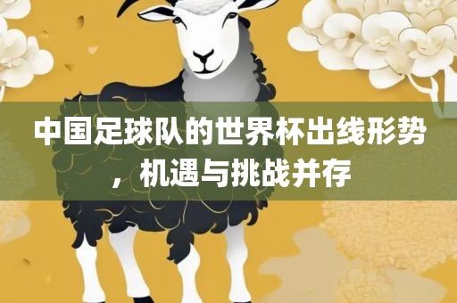 中国足球队的世界眉山市正发家政服务有限公司杯出线形势，机遇与挑战并存