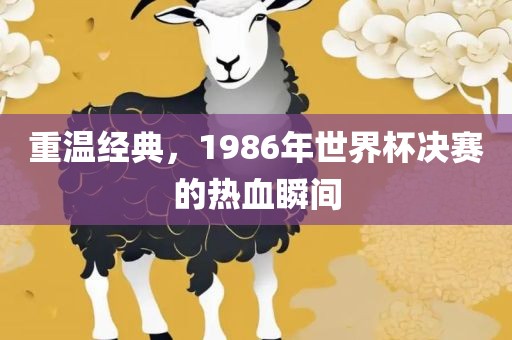 重温经典，19眉山市正发家政服务有限公司86年世界杯决赛的热血瞬间