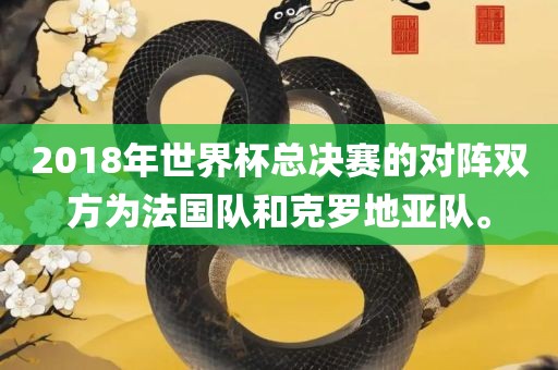 2018年世界杯总决赛的对阵双方为法国队和克罗地亚队。眉山市正发家政服务有限公司