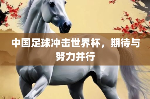 中国足球冲击世界杯，期待与努力并行眉山市正发家政服务有限公司