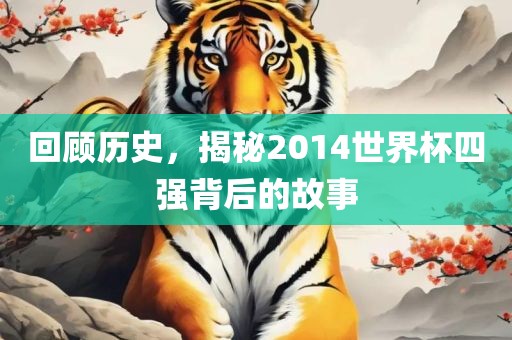 回顾历史，揭秘2014世界杯四强背后的故事眉山市正发家政服务有限公司