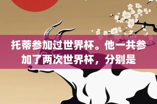 托蒂参加过世界杯。他一共参加了两次世界杯，分别是眉山市正发家政服务有限公司