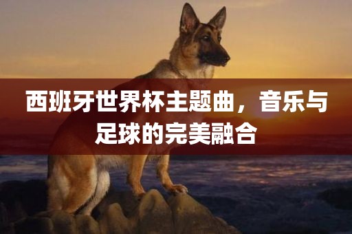 西班牙世界杯主题曲，音乐与足球的完眉山市正发家政服务有限公司美融合