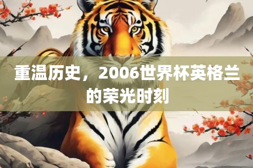 重温历史，2006眉山市正发家政服务有限公司世界杯英格兰的荣光时刻